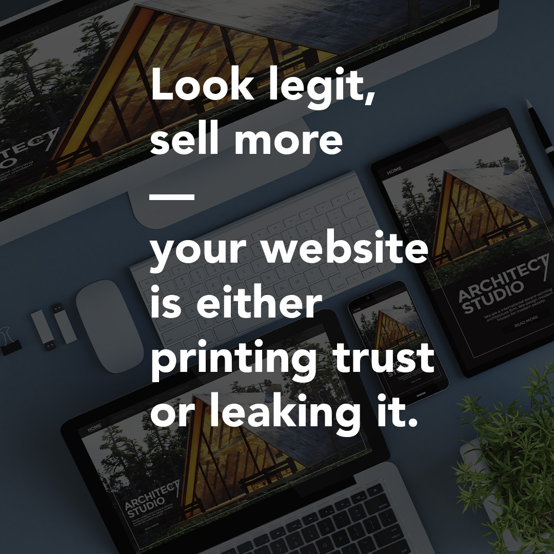The Instant Credibility Website